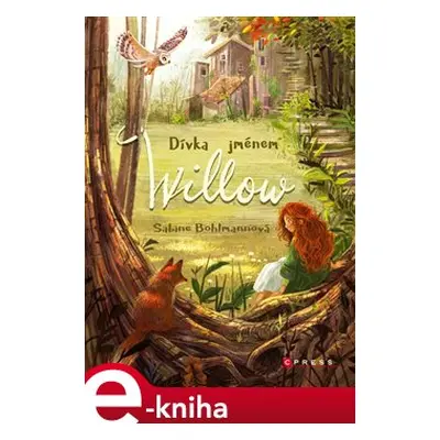 Dívka jménem Willow - Sabine Bohlmannová