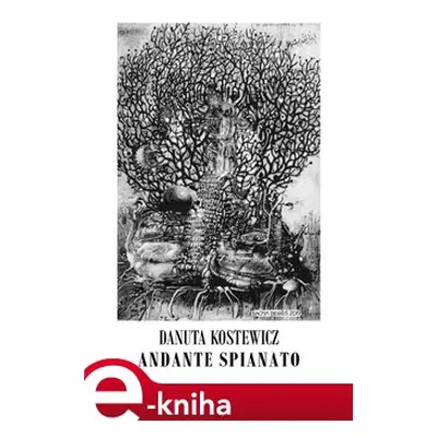 Andante spianato - Danuta Kostewicz