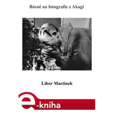 Básně na fotografie z Akagi - Libor Martinek