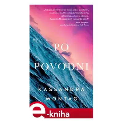 Po povodni - Kassandra Montag