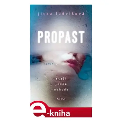 Propast - Jitka Ludvíková