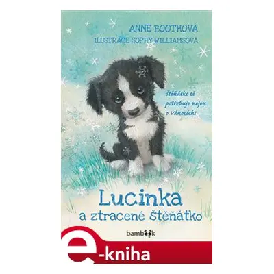 Lucinka a ztracené štěňátko - Anne Bootheová