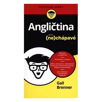 Angličtina pro nechápavé - Gail Brenner