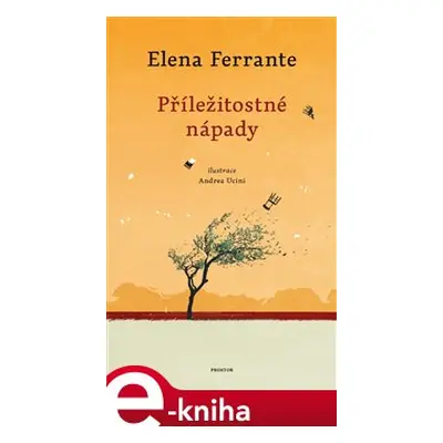 Příležitostné nápady - Elena Ferrante