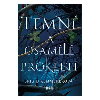 Temné a osamělé prokletí - Brigid Kemmererová