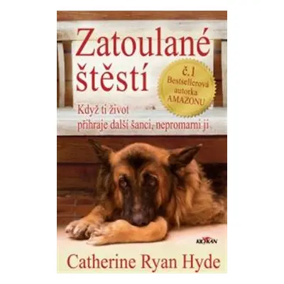 Zatoulané štěstí - Catherine Ryan Hyde