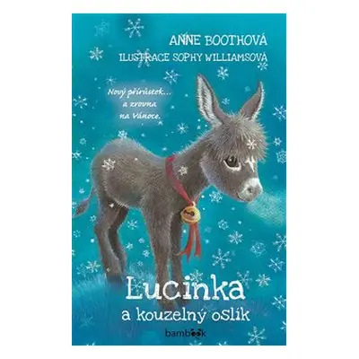 Lucinka a kouzelný oslík - Anne Bootheová