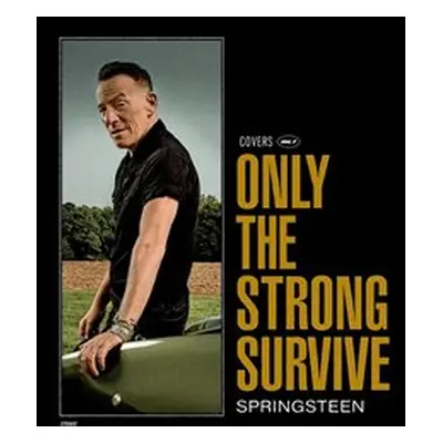 Only The Strong Survive - Bruce Springsteen