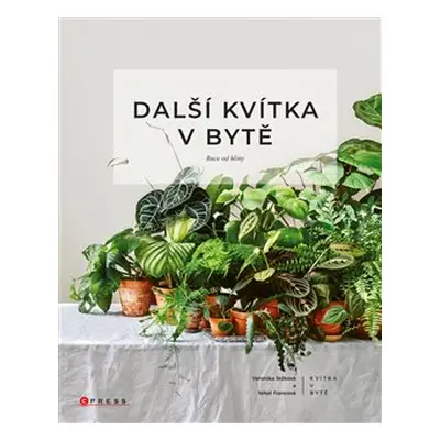 Další kvítka v bytě: Ruce od hlíny - Veronika Ježková, Nikol Francová