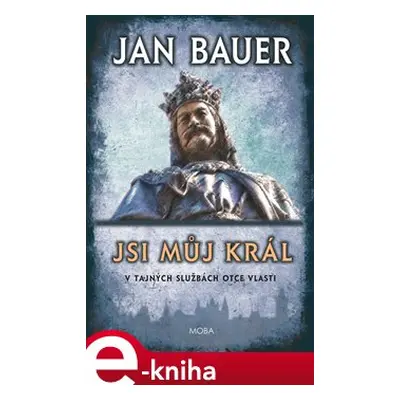 Jsi můj král - Jan Bauer