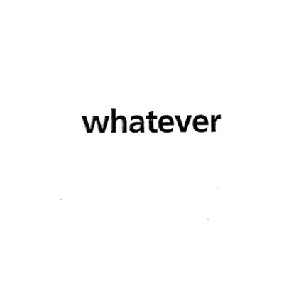 WHATEVER - Jiří Valoch