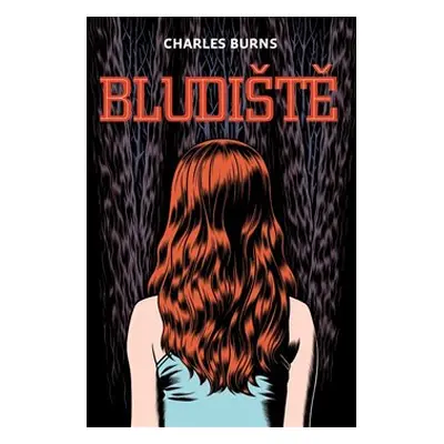 Bludiště - Charles Burns