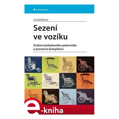 Sezení ve vozíku - Lia Vašičková