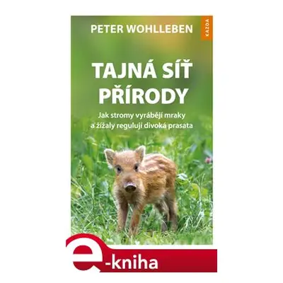 Tajná síť přírody - Peter Wohlleben