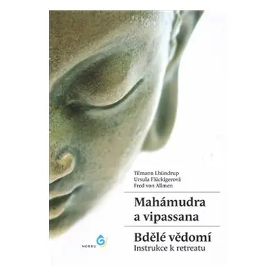 Mahámudra a vipassana - Bdělé vědomí - Tilmann Lhundrup, Ursula Fluckiger, Fred von Allmen