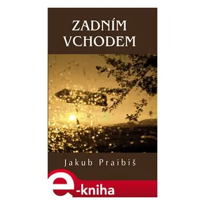 Zadním vchodem - Jakub Praibiš