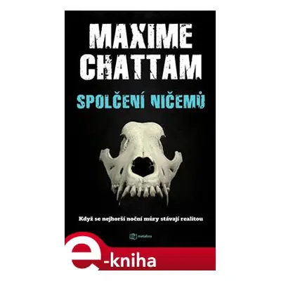 Spolčení ničemů - Maxime Chattam