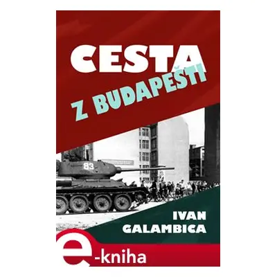 Cesta z Budapešti - Ivan Galambica