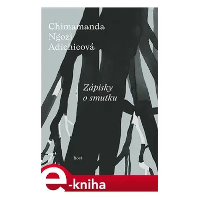 Zápisky o smutku - Chimamanda Ngozi Adichieová