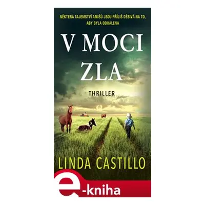 V moci zla - Linda Castillo