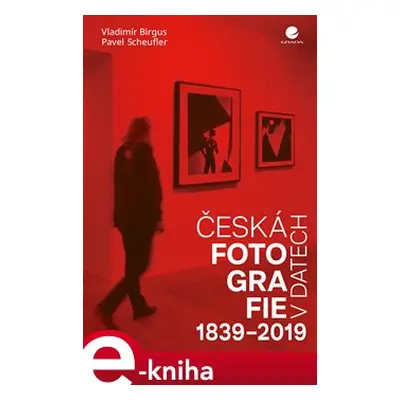 Česká fotografie v datech 1839-2019 - Pavel Scheufler, Vladimír Birgus