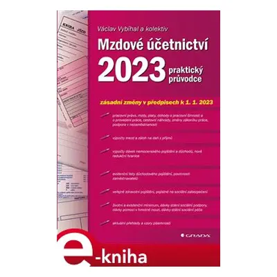 Mzdové účetnictví 2023 - Václav Vybíhal, kol.