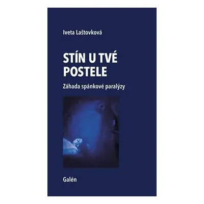 Stín u tvé postele - Iveta Laštovková