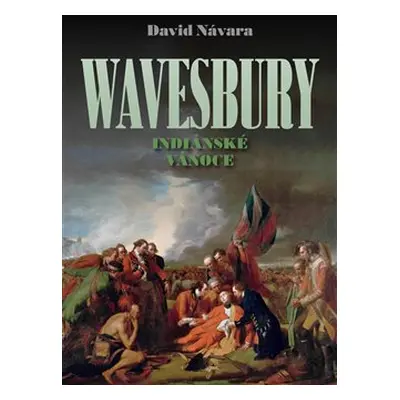 Wavesbury - Indiánské Vánoce - David Návara