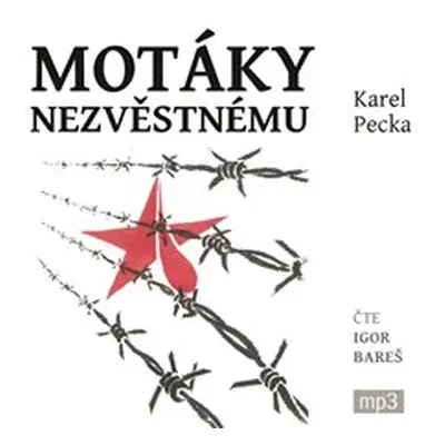 Motáky nezvěstnému - Karel Pecka