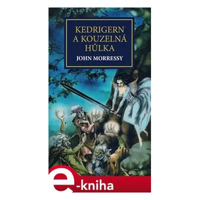 Kedrigern a kouzelná hůlka - John Morressy