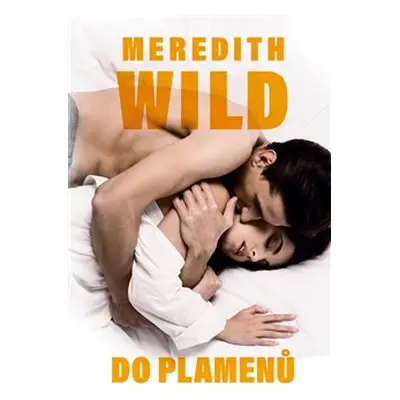 Do plamenů - Meredith Wild