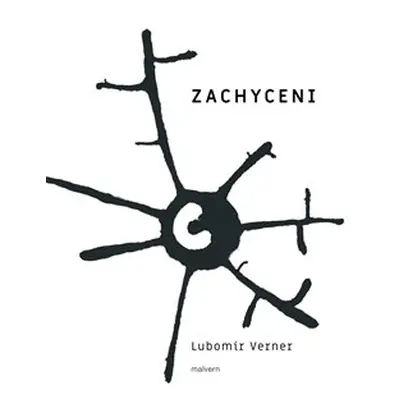 Zachyceni - Lubomír Verner