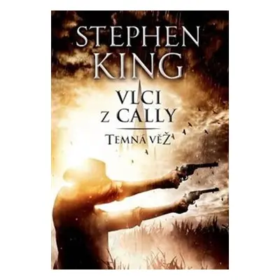 Temná věž V. - Vlci z Cally - Stephen King