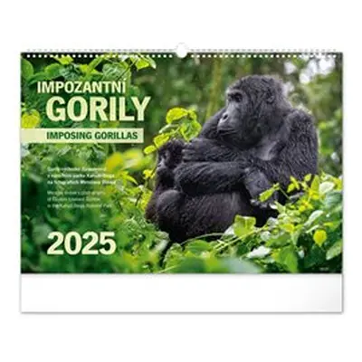 Nástěnný kalendář Impozantní gorily 2025