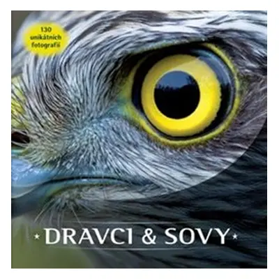 Dravci a sovy