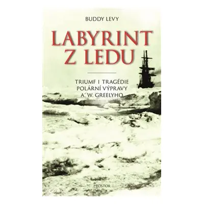 Labyrint z ledu - Buddy Levy