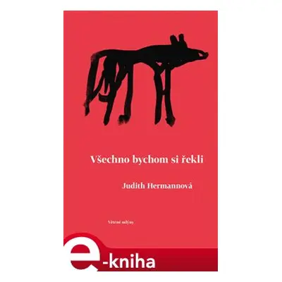 Všechno bychom si řekli - Judith Hermannová