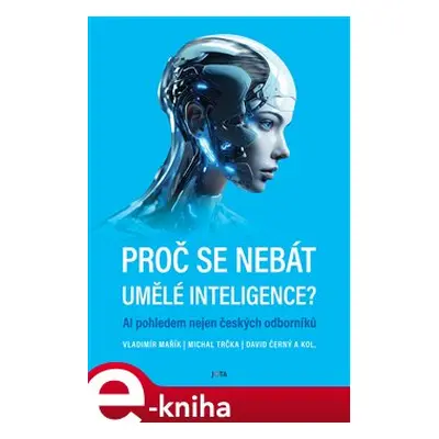 Proč se nebát umělé inteligence? - Vladimír Mařík, Michal Trčka, David Černý