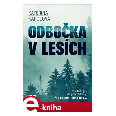 Odbočka v lesích - Kateřina Karolová