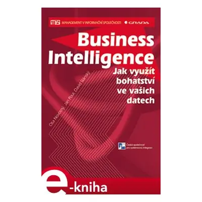 Business Intelligence - David Slánský, Jan Pour, Ota Novotný