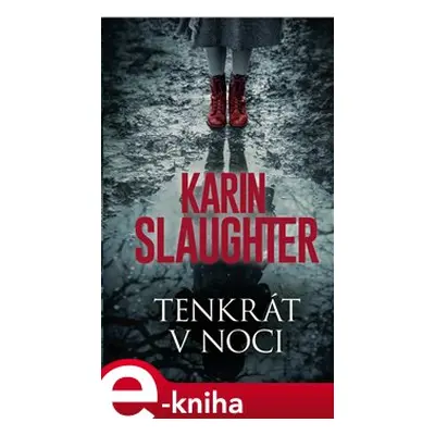 Tenkrát v noci - Karin Slaughter