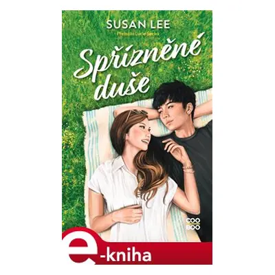 Spřízněné duše - Susan Lee