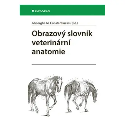 Obrazový slovník veterinární anatomie - Gheorghe M. Constantinescu