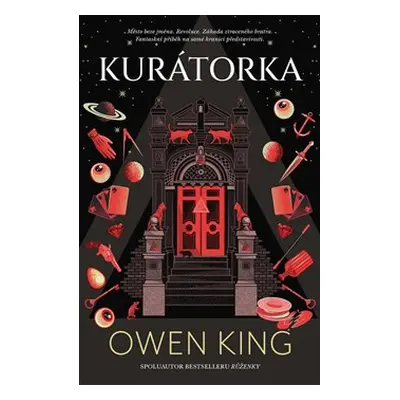 Kurátorka - Owen King