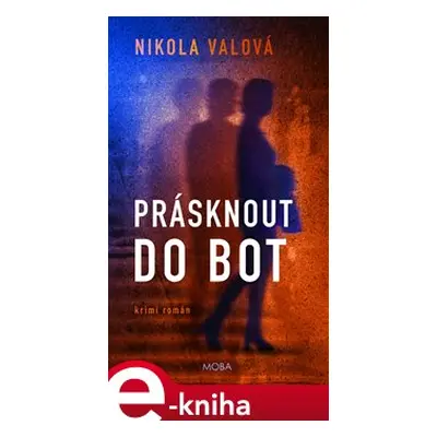 Prásknout do bot - Nikola Valová