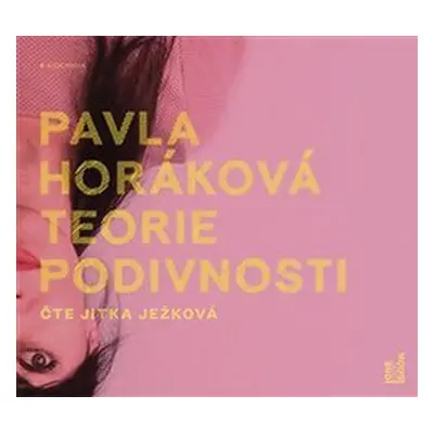 Teorie podivnosti - Pavla Horáková