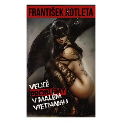 Velké problémy v malém Vietnamu - František Kotleta