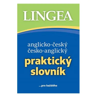 Anglicko-český a česko-anglický Praktický slovník - kolektiv autorů