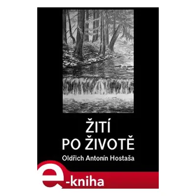 Žití po životě - Oldřich Antonín Hostaša