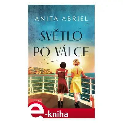 Světlo po válce - Anita Abriel